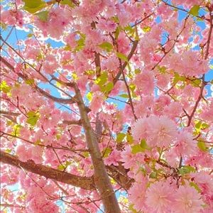 Meet your Posher, Laurinda